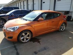 Salvage cars for sale at Louisville, KY auction: 2015 Hyundai Veloster