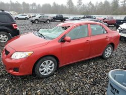 Toyota salvage cars for sale: 2010 Toyota Corolla Base