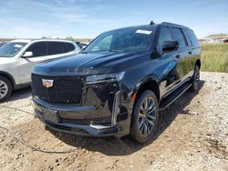 Cadillac Escalade salvage cars for sale: 2021 Cadillac Escalade ESV Sport