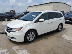 Salvage cars for sale from Copart Haslet, TX: 2016 Honda Odyssey EXL