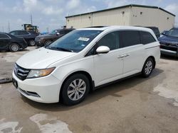 Vehiculos salvage en venta de Copart Haslet, TX: 2016 Honda Odyssey EXL