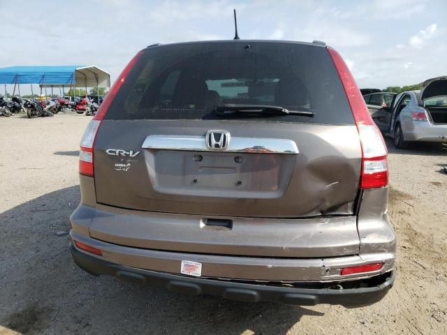 2010 Honda CR-V EX