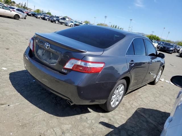 2008 Toyota Camry Hybrid