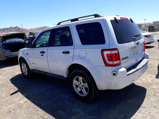 2011 Ford Escape Hybrid