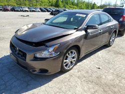 Nissan Maxima S Vehiculos salvage en venta: 2013 Nissan Maxima S