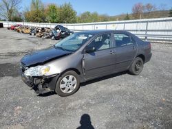 Toyota Vehiculos salvage en venta: 2004 Toyota Corolla CE