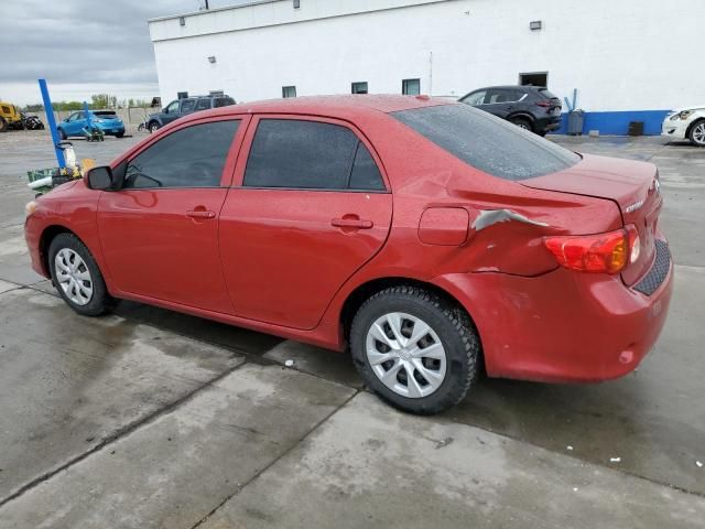 2010 Toyota Corolla Base