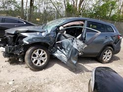 Salvage cars for sale from Copart Cicero, IN: 2013 Mazda CX-9 Touring