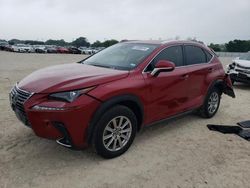 Salvage cars for sale at San Antonio, TX auction: 2020 Lexus NX 300
