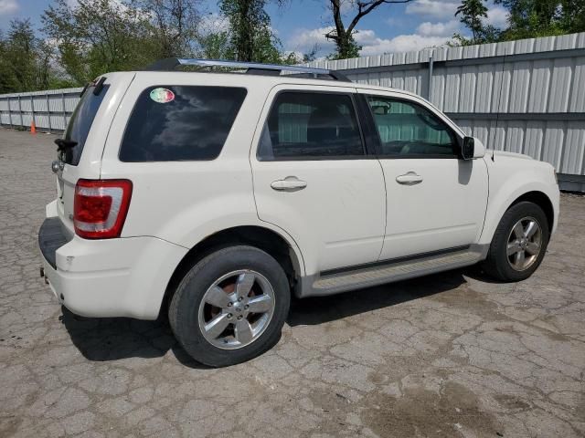 2010 Ford Escape Limited