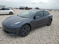 Salvage cars for sale at Temple, TX auction: 2023 Tesla Model 3