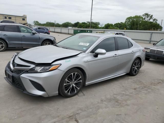 2019 Toyota Camry Hybrid