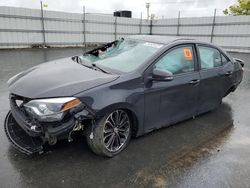 Salvage cars for sale at Antelope, CA auction: 2016 Toyota Corolla L