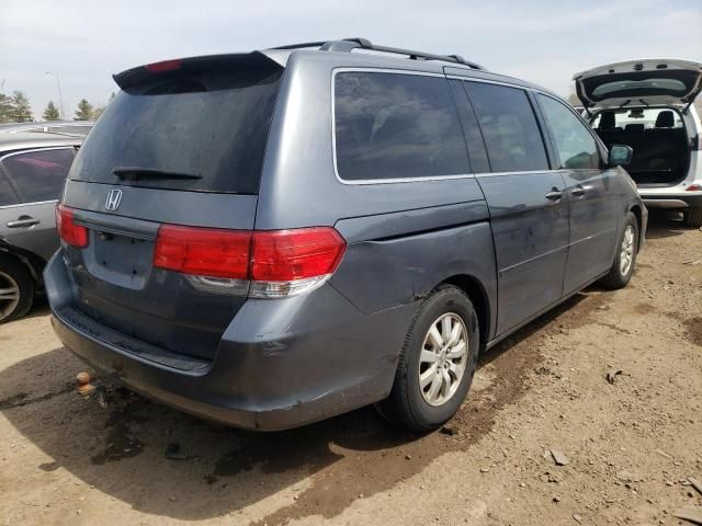 2010 Honda Odyssey EXL