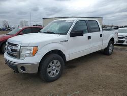 Salvage cars for sale at Rocky View County, AB auction: 2013 Ford F150 Supercrew