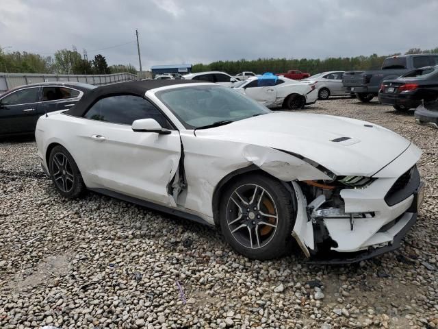 2019 Ford Mustang