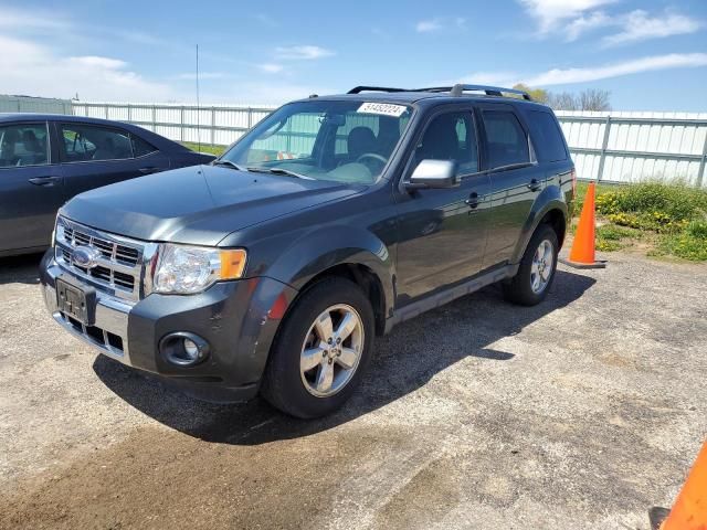 2009 Ford Escape Limited