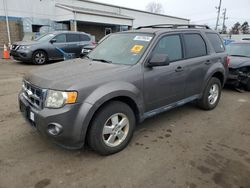 Salvage cars for sale at New Britain, CT auction: 2012 Ford Escape XLT