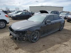 Salvage cars for sale from Copart Rocky View County, AB: 2013 Audi S4 Premium Plus