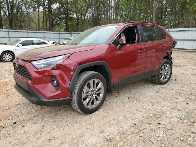 2024 Toyota Rav4 XLE Premium