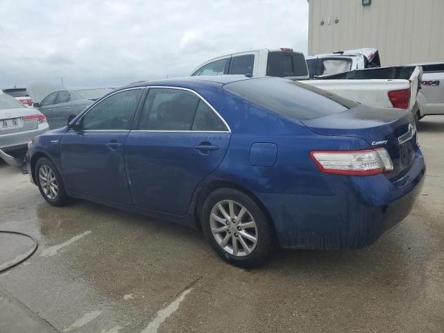 2010 Toyota Camry Hybrid