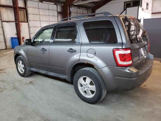 2012 Ford Escape XLT