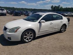 Salvage cars for sale at Harleyville, SC auction: 2008 Nissan Maxima SE