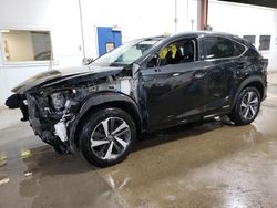Salvage cars for sale from Copart Blaine, MN: 2018 Lexus NX 300H