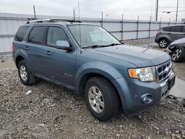 2010 Ford Escape Hybrid