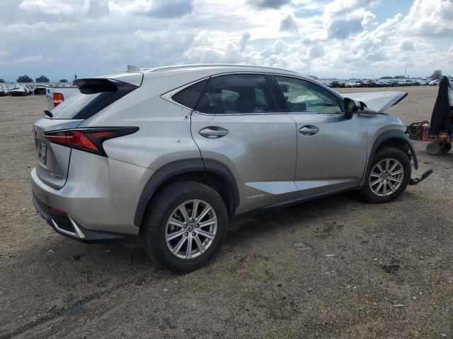 2019 Lexus NX 300H