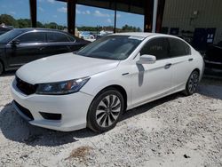 Salvage cars for sale at Homestead, FL auction: 2015 Honda Accord Hybrid