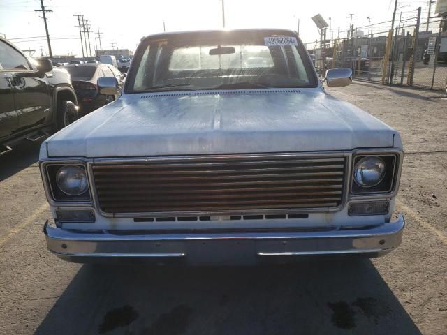 1976 Chevrolet C20