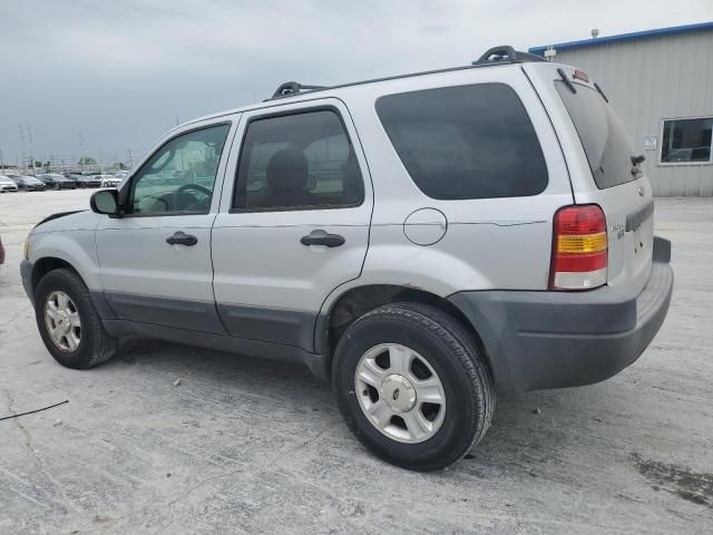 2004 Ford Escape XLT