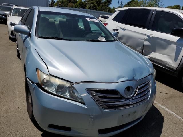 2009 Toyota Camry Hybrid