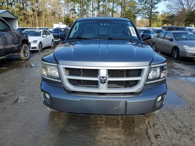 2010 Dodge Dakota SXT