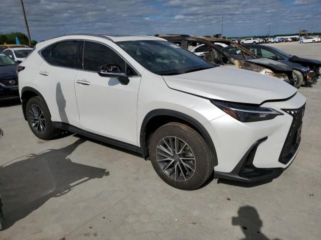 2024 Lexus NX 350 Premium