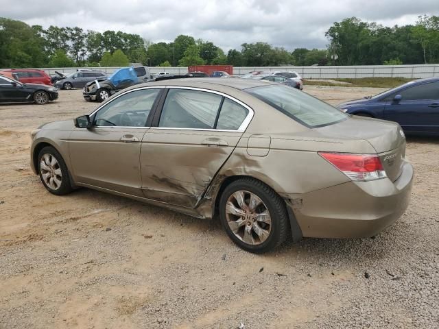 2010 Honda Accord EXL