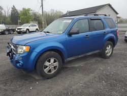 Salvage cars for sale at York Haven, PA auction: 2011 Ford Escape XLT