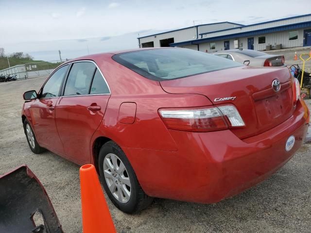 2009 Toyota Camry Hybrid