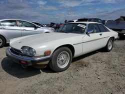 Salvage cars for sale at Sacramento, CA auction: 1990 Jaguar XJS Palette Collection