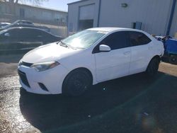 Salvage cars for sale from Copart Albuquerque, NM: 2016 Toyota Corolla L