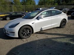 Salvage cars for sale from Copart Waldorf, MD: 2019 Tesla Model 3