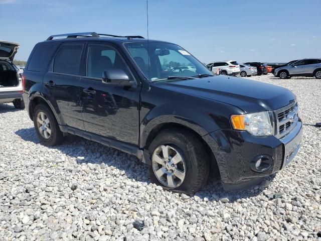 2012 Ford Escape Limited