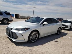 Salvage cars for sale at Andrews, TX auction: 2019 Toyota Avalon XLE