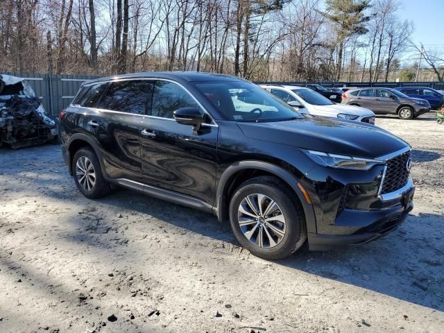 2023 Infiniti QX60 Pure