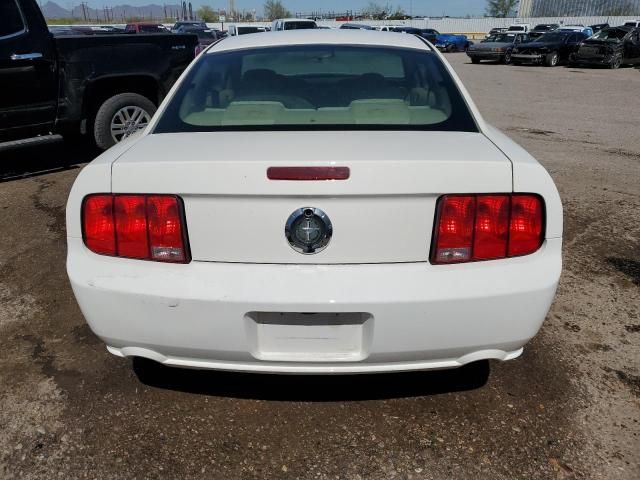 2005 Ford Mustang