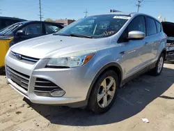 Salvage cars for sale at Chicago Heights, IL auction: 2015 Ford Escape SE