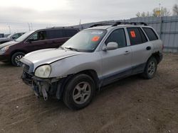 Salvage cars for sale from Copart Greenwood, NE: 2004 Hyundai Santa FE GLS