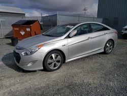 Hyundai Sonata Hybrid salvage cars for sale: 2012 Hyundai Sonata Hybrid