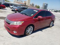 Lexus HS salvage cars for sale: 2010 Lexus HS 250H